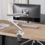 Screen Table Support Ergo Office ER-751 17" by Ergo Office, Monitor Arms & Stands - Ref: S9165085, Price: 64,84 €, Discount: %