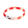 Correa para Perro Hilton LED de Hilton, Correas - Ref: S9165310, Precio: 8,64 €, Descuento: %