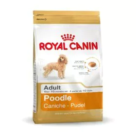 Nourriture Royal Canin Poodle Adult Adulte Poulet 1,5 Kg de Royal Canin, Sèche - Réf : S9169676, Prix : 17,76 €, Remise : %