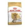 Futter Royal Canin Yorkshire Terrier 8+ Vögel 1,5 Kg von Royal Canin, Trocken - Ref: S9169678, Preis: 21,21 €, Rabatt: %