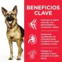 penso Hill's Science plan canine Frango Porco 14 Kg de Hill's, Seca - Ref: S9170315, Preço: 75,90 €, Desconto: %