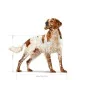 penso Royal Canin Pássaros 12 kg de Royal Canin, Seca - Ref: S9188948, Preço: 75,12 €, Desconto: %