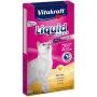 Collation pour Chat Vitakraft Liquid Snack Chicken Poulet Cochon 90 g de Vitakraft, Snacks - Réf : S9190467, Prix : 4,15 €, R...