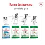 Fodder Royal Canin Adult Mini S Birds 8 kg by Royal Canin, Dry - Ref: S9190785, Price: 53,83 €, Discount: %