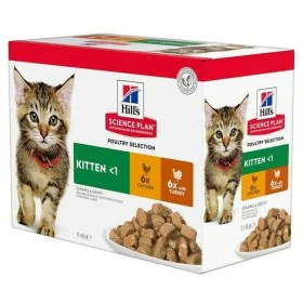 Cat food Hill's Feline Kitten Chicken by Hill's, Wet - Ref: S9194597, Price: 17,94 €, Discount: %