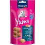 Spuntino per Cat Vitakraft Cat Yums Salmon Pesce 40 g di Vitakraft, Snacks - Rif: S9195328, Prezzo: 2,11 €, Sconto: %