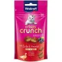 Lanche para Gato Vitakraft CRISPY CRUNCH 60 g de Vitakraft, Snacks - Ref: S9195331, Preço: 1,57 €, Desconto: %