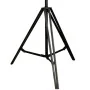 Lampadaire Alexandra House Living Noir 25 x 138 x 30 cm de Alexandra House Living, Lampadaires - Réf : D1632628, Prix : 146,2...