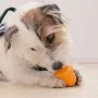 Dog chewing toy Ferplast White Orange Natural rubber animals by Ferplast, Biting toys - Ref: S9198103, Price: 7,39 €, Discoun...