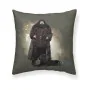 Housse de coussin Harry Potter Hagrid Multicouleur 50 x 50 cm de Harry Potter, Housses de coussin - Réf : S9800765, Prix : 9,...