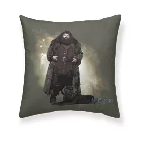 Housse de coussin Harry Potter Hagrid Multicouleur 50 x 50 cm de Harry Potter, Housses de coussin - Réf : S9800765, Prix : 10...