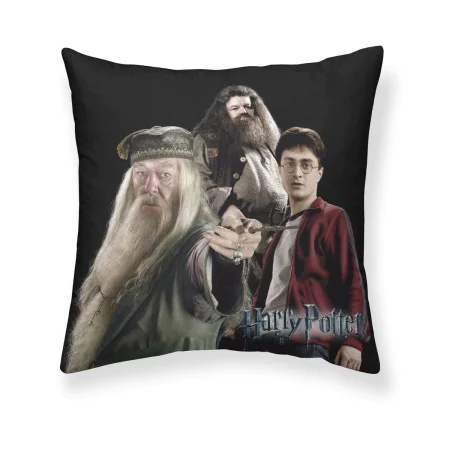 Housse de coussin Harry Potter Team Multicouleur 50 x 50 cm de Harry Potter, Housses de coussin - Réf : S9800771, Prix : 10,3...