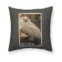 Kissenbezug Harry Potter Hedwig Bunt 50 x 50 cm von Harry Potter, Zierkissenbezüge - Ref: S9800775, Preis: 9,92 €, Rabatt: %