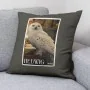 Cushion cover Harry Potter Hedwig Multicolour 50 x 50 cm by Harry Potter, Cushion Covers - Ref: S9800775, Price: 9,92 €, Disc...