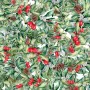 Tovaglia in resina antimacchia Belum Christmas Multicolore 150 x 150 cm di Belum, Tovaglie - Rif: S9802656, Prezzo: 24,49 €, ...