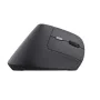 Mouse Trust 25145 Black by Trust, Mice - Ref: S9908076, Price: 34,47 €, Discount: %