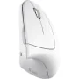 Mouse Trust 25132 White by Trust, Mice - Ref: S9908107, Price: 33,57 €, Discount: %