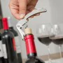 Astuccio a Bottiglia per Utensili Vino InnovaGoods 5 Pezzi di InnovaGoods, Set di accessori da vino - Rif: V0100451, Prezzo: ...