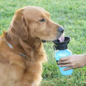 Dog Water Bottle-Dispenser InnovaGoods by InnovaGoods, Water bottles - Ref: V0100830, Price: 9,90 €, Discount: %