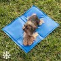 Tapis de Refroidissement pour Animaux de Compagnie Colet InnovaGoods 40 x 50 cm de InnovaGoods, Matelas pour lits - Réf : V01...