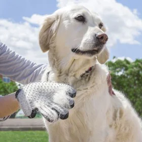 Luva para Escovar e Massajar Animais de Estimação Relpet InnovaGoods de InnovaGoods, Luvas e rolos tira-pelos - Ref: V0101053...