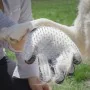 Gant pour Brosser et Masser les Animaux Domestiques Relpet InnovaGoods de InnovaGoods, Gants et rouleaux anti-poils - Réf : V...