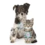 Rechargeable Ultrasound Parasite Repellent for Pets PetRep InnovaGoods by InnovaGoods, Anti-parasites - Ref: V0103219, Price:...