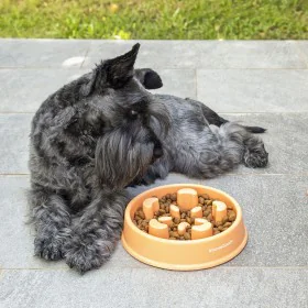 Slow Eating Food Bowl for Pets Slowfi InnovaGoods by InnovaGoods, Bowls - Ref: V0103268, Price: 4,34 €, Discount: %