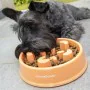 Slow Eating Food Bowl for Pets Slowfi InnovaGoods by InnovaGoods, Bowls - Ref: V0103268, Price: 4,34 €, Discount: %