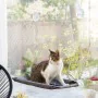 Hängematte für Katzen Catlax InnovaGoods von InnovaGoods, Saugnapf-Fensterbetten - Ref: V0103474, Preis: 16,90 €, Rabatt: %