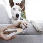 Cortaúñas con LED para Mascotas Clipet InnovaGoods de InnovaGoods, Cuidado de las uñas - Ref: V0103612, Precio: 8,99 €, Descu...