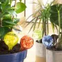 Automatic Watering Globes Ballwooters InnovaGoods 4 Units by InnovaGoods, Watering Globes - Ref: V0103627, Price: 12,90 €, Di...