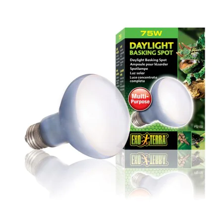 Système à chaleur infrarouge Exo Terra de Exo terra, Lampes thermiques pour terrariums - Réf : V3400008, Prix : 5,58 €, Remis...