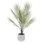 Planta Decorativa Versa Plástico de Versa, Plantas - Ref: V3402164, Precio: 26,33 €, Descuento: %