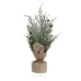 Decorative Plant Versa Plastic by Versa, Artificial Plants - Ref: V3402169, Price: 7,31 €, Discount: %