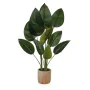 Decorative Plant Versa Plastic by Versa, Artificial Plants - Ref: V3402185, Price: 26,90 €, Discount: %