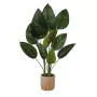 Planta Decorativa Versa Plástico de Versa, Plantas - Ref: V3402185, Precio: 26,90 €, Descuento: %