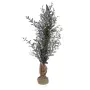 Planta Decorativa Versa Plástico de Versa, Plantas - Ref: V3402276, Preço: 18,44 €, Desconto: %