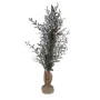 Decorative Plant Versa Plastic by Versa, Artificial Plants - Ref: V3402276, Price: 18,44 €, Discount: %