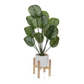 Plante décorative Versa de Versa, Plantes artificielles - Réf : V3402342, Prix : 32,96 €, Remise : %