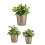 Set de Macetas Cónica Ø 14 cm Ø 22 cm Ø 17 cm Metal Plástico 30 x 40 cm 3 Piezas (3 Piezas) de Ibergarden, Macetas para flore...