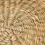 Portasale con Coperchio Alexandra House Living Rattan Fibra naturale di Alexandra House Living, Dosatori di condimenti e spez...