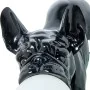 Desk lamp Alexandra House Living Black Acrylic Plastic Melamin 47 x 23 x 20 cm Dog by Alexandra House Living, Bedside and Tab...