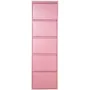 Sapateira Alexandra House Living Cor de Rosa 50 x 170 x 15 cm 5 gavetas de Alexandra House Living, Sapateiras - Ref: D1627442...