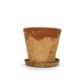 Flower Pot with Dish Alexandra House Living Brown Cement Rustic 24 x 23 x 24 cm by Alexandra House Living, Flower Pots - Ref:...