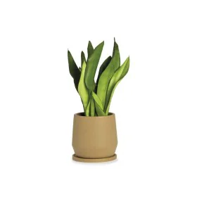 Flower Pot with Dish Alexandra House Living Beige Ceramic 18 x 18 x 18 cm by Alexandra House Living, Flower Pots - Ref: D1634...