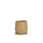 Vaso com Prato Alexandra House Living Marrom claro Cerâmica 22 x 22 x 22 cm de Alexandra House Living, Vasos para flores - Re...