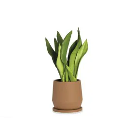 Flower Pot with Dish Alexandra House Living Terracotta Ceramic 22 x 22 x 22 cm by Alexandra House Living, Flower Pots - Ref: ...