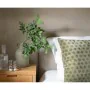 Cuscino Alexandra House Living STARS Verde Velluto 50 x 1 x 50 cm di Alexandra House Living, Cuscini decorativi - Rif: D16345...