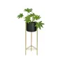 Planter with stand Alexandra House Living Black Golden Metal 28 x 80 x 28 cm by Alexandra House Living, Cachepots - Ref: D163...